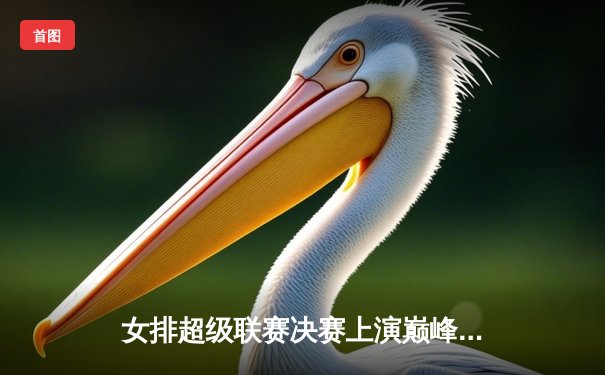 女排超级联赛决赛上演巅峰对决，天津队逆转江苏队成功卫冕